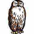 pictures\classic\owl\clowl.gif (4003 bytes)
